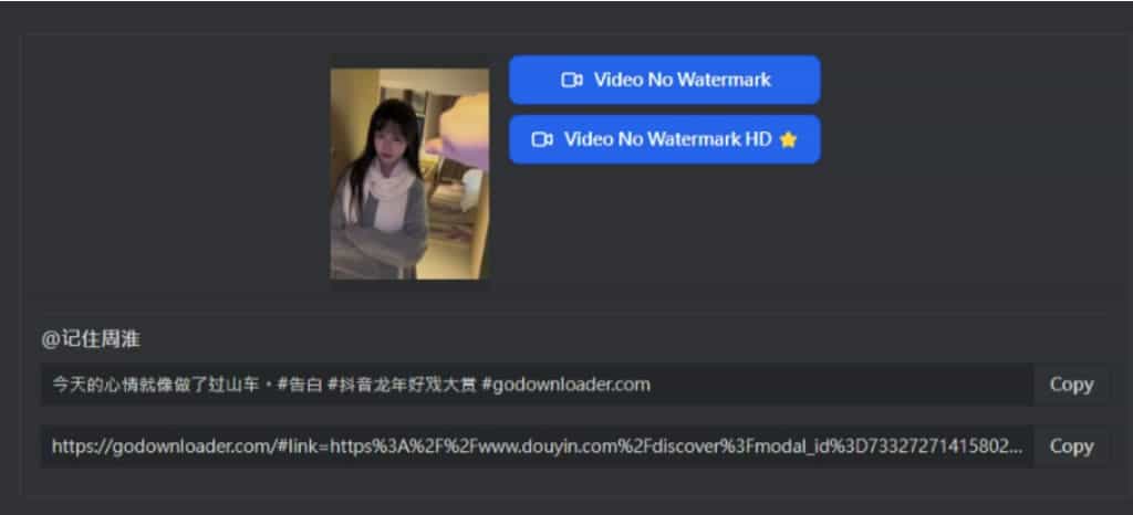 GoDownloader：支援 Facebook、TikTok 及 Douyin 等多個社交平台的線上影片下載工具