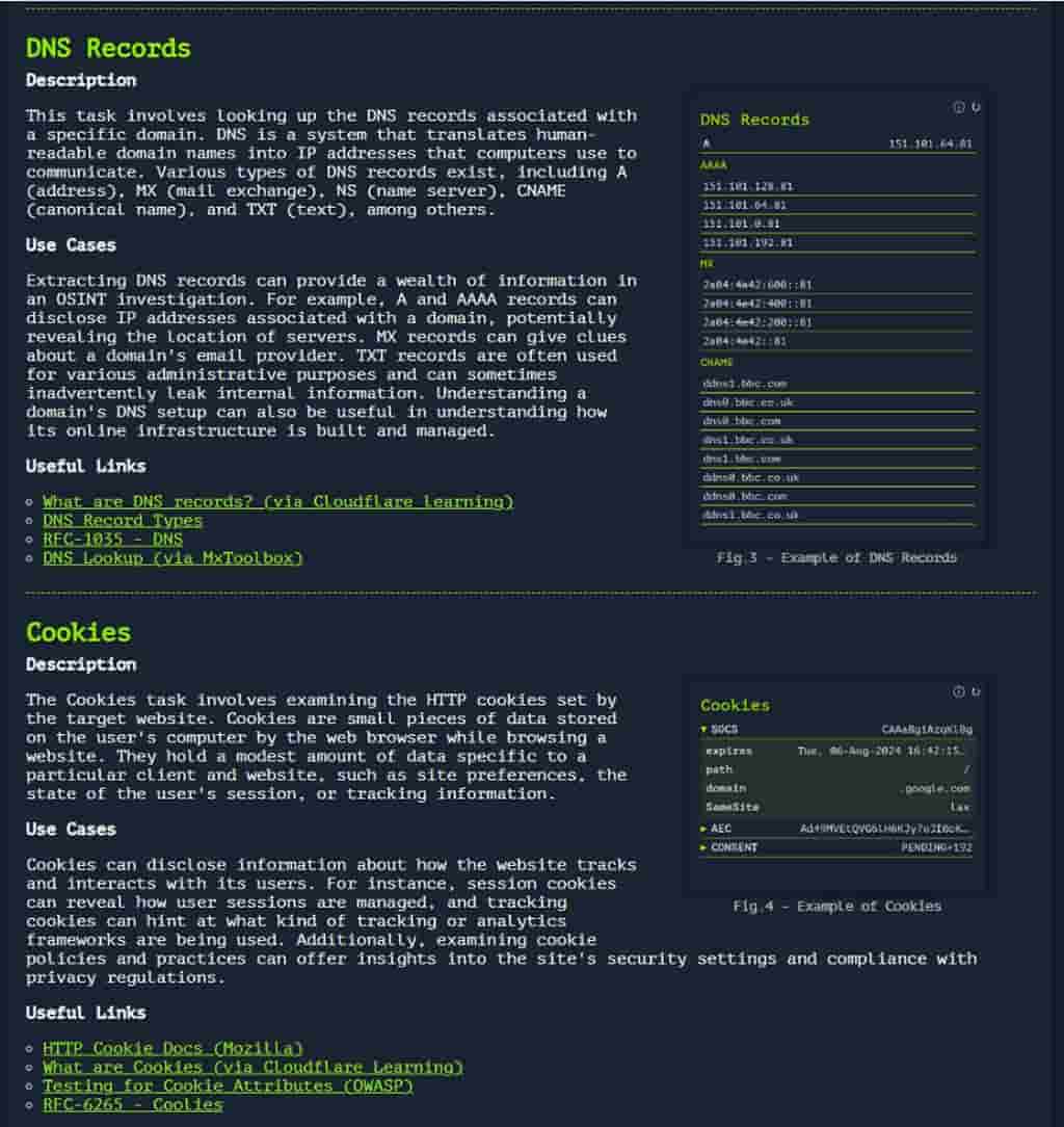 Web-Check：全方位網站分析工具與安全檢測服務