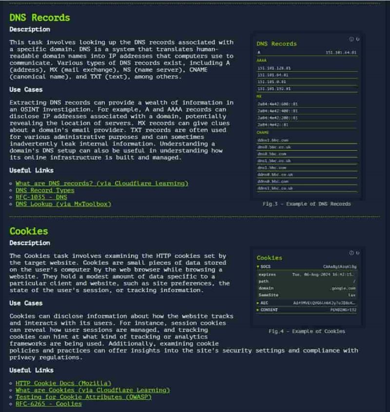 Web-Check：全方位網站分析工具與安全檢測服務