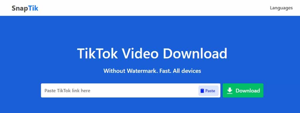 SnapTik：免費下載高品質且無浮水印的 TikTok 影片