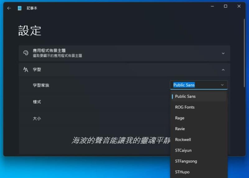 Public Sans 美國政府設計的開放原始碼英文字型，可自由下載和使用