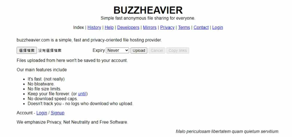 BUZZHEAVIER：線上檔案分享工具，無檔案大小及流量限制可匿名