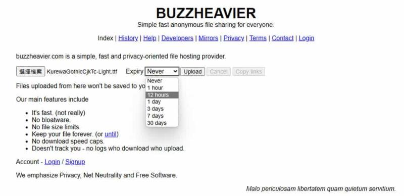 BUZZHEAVIER：線上檔案分享工具，無檔案大小及流量限制可匿名