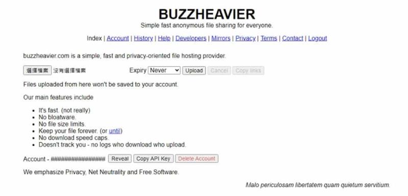 BUZZHEAVIER：線上檔案分享工具，無檔案大小及流量限制可匿名