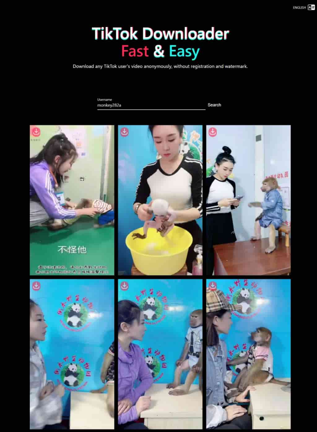 Tiker 線上 TikTok 影片下載工具，免註冊可匿名且無浮水印