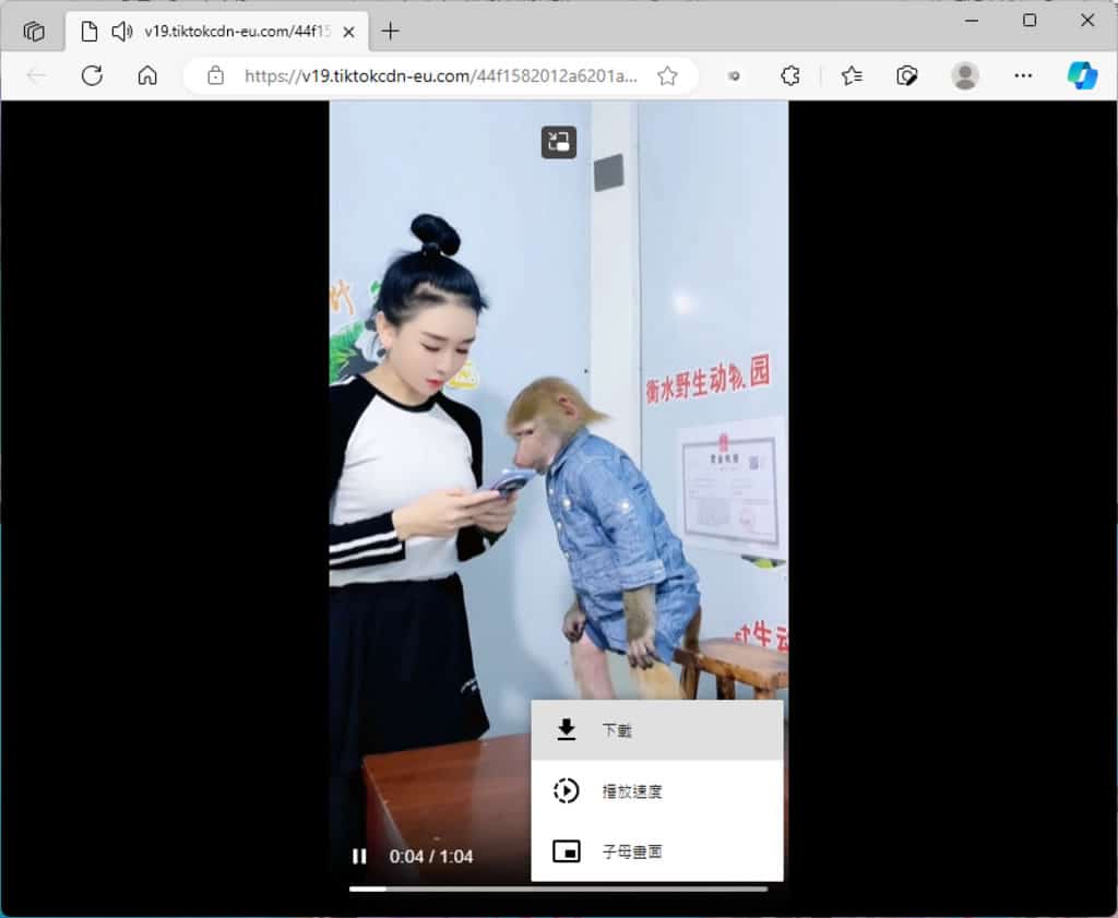 Tiker 線上 TikTok 影片下載工具，免註冊可匿名且無浮水印