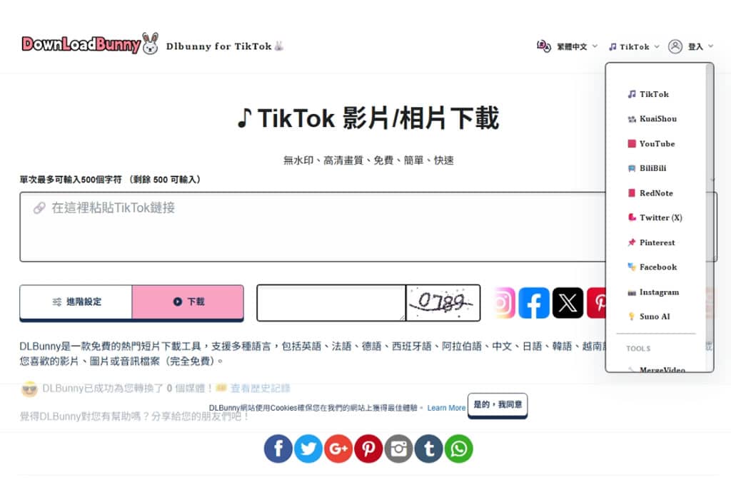 DLBunny 線上影片下載工具，支援 TikTok、YouTube、Instagram 影片與音訊下載