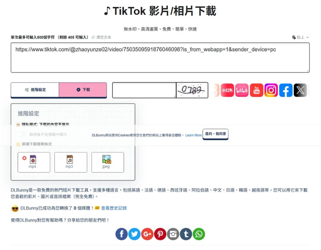 DLBunny 線上影片下載工具，支援 TikTok、YouTube、Instagram 影片與音訊下載
