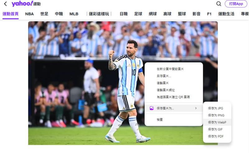 Save Image as Type 瀏覽器擴充功能：滑鼠右鍵點擊網頁圖片就可選 JPG、WebP 或 PDF 等格式儲存