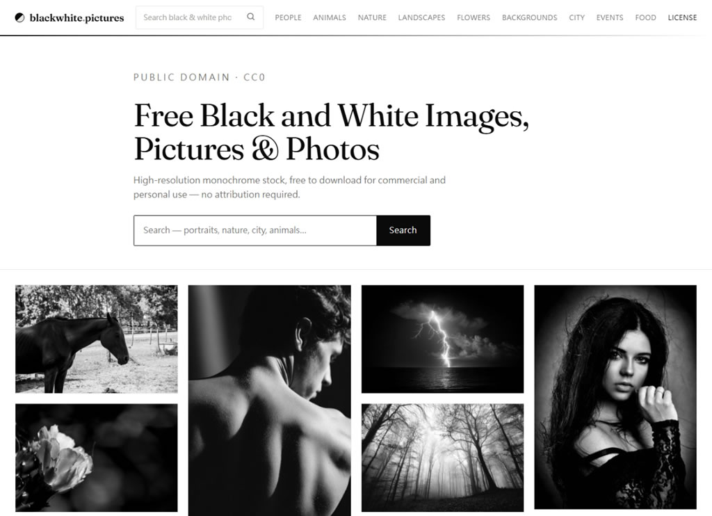 不用標註來源！blackwhite.pictures 教你一秒下載高質感黑白圖庫