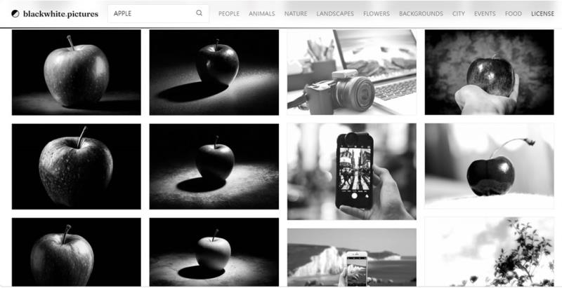 不用標註來源！blackwhite.pictures 教你一秒下載高質感黑白圖庫
